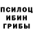 Галлюциногенные грибы Psilocybine cubensis Vadim Ntzevelek